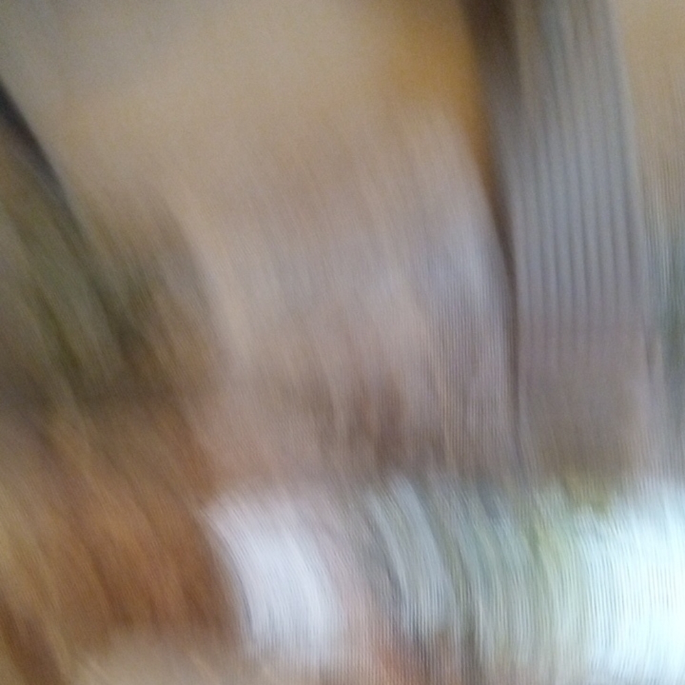 Diane Von Furstenberg Gray and Green Tote Bag with Floral Design - Picture 4 of 9